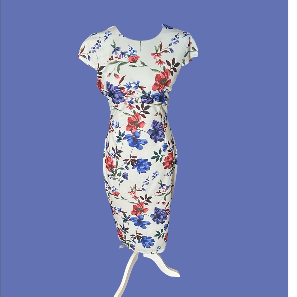 ALEXIA ADMORE Pale Green Cap Sleeve Sheath Midi w/Red & Blue Blooms. Sz: 8. $48. - Picture 4 of 7